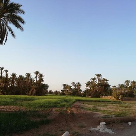Kasbah Les Alizes Du Desert Мхамід Екстер'єр фото