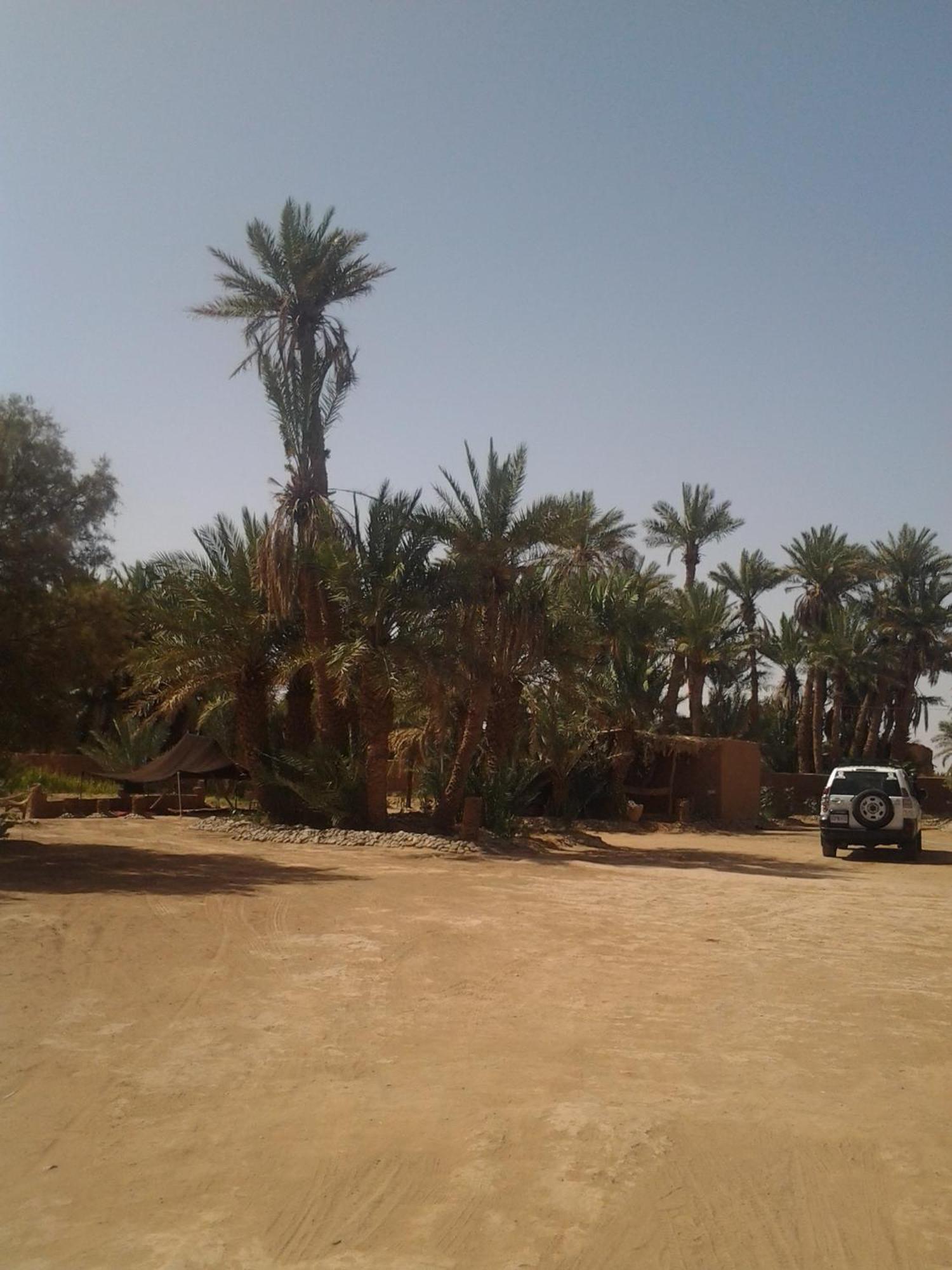 Kasbah Les Alizes Du Desert Мхамід Екстер'єр фото