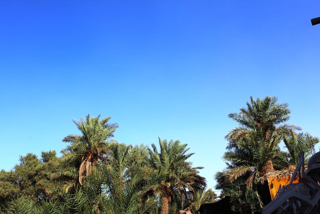 Kasbah Les Alizes Du Desert Мхамід Екстер'єр фото