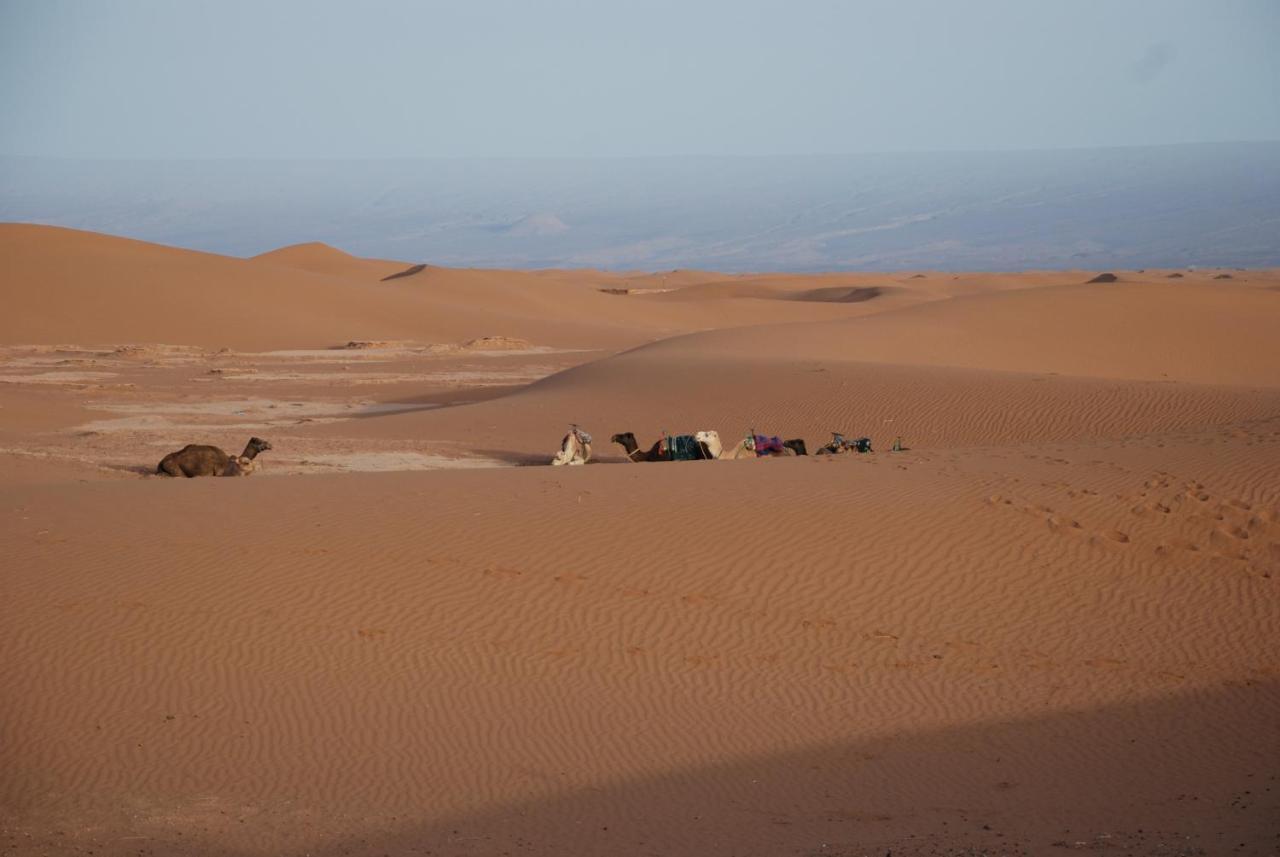 Kasbah Les Alizes Du Desert Мхамід Екстер'єр фото