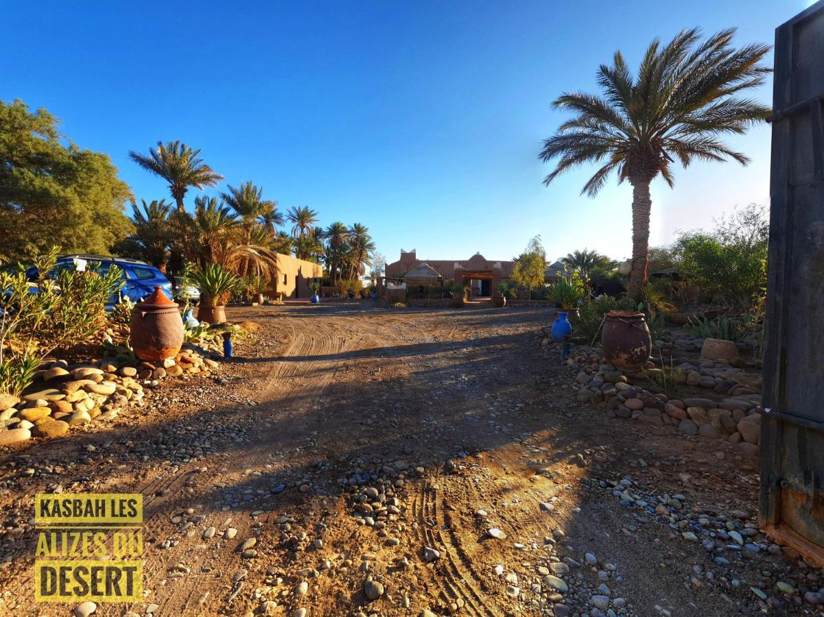 Kasbah Les Alizes Du Desert Мхамід Екстер'єр фото