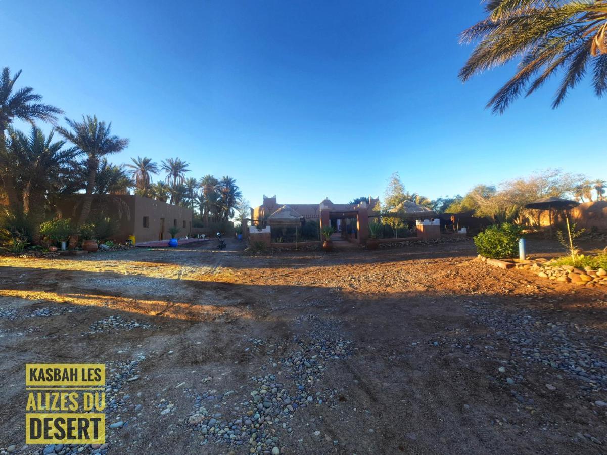 Kasbah Les Alizes Du Desert Мхамід Екстер'єр фото